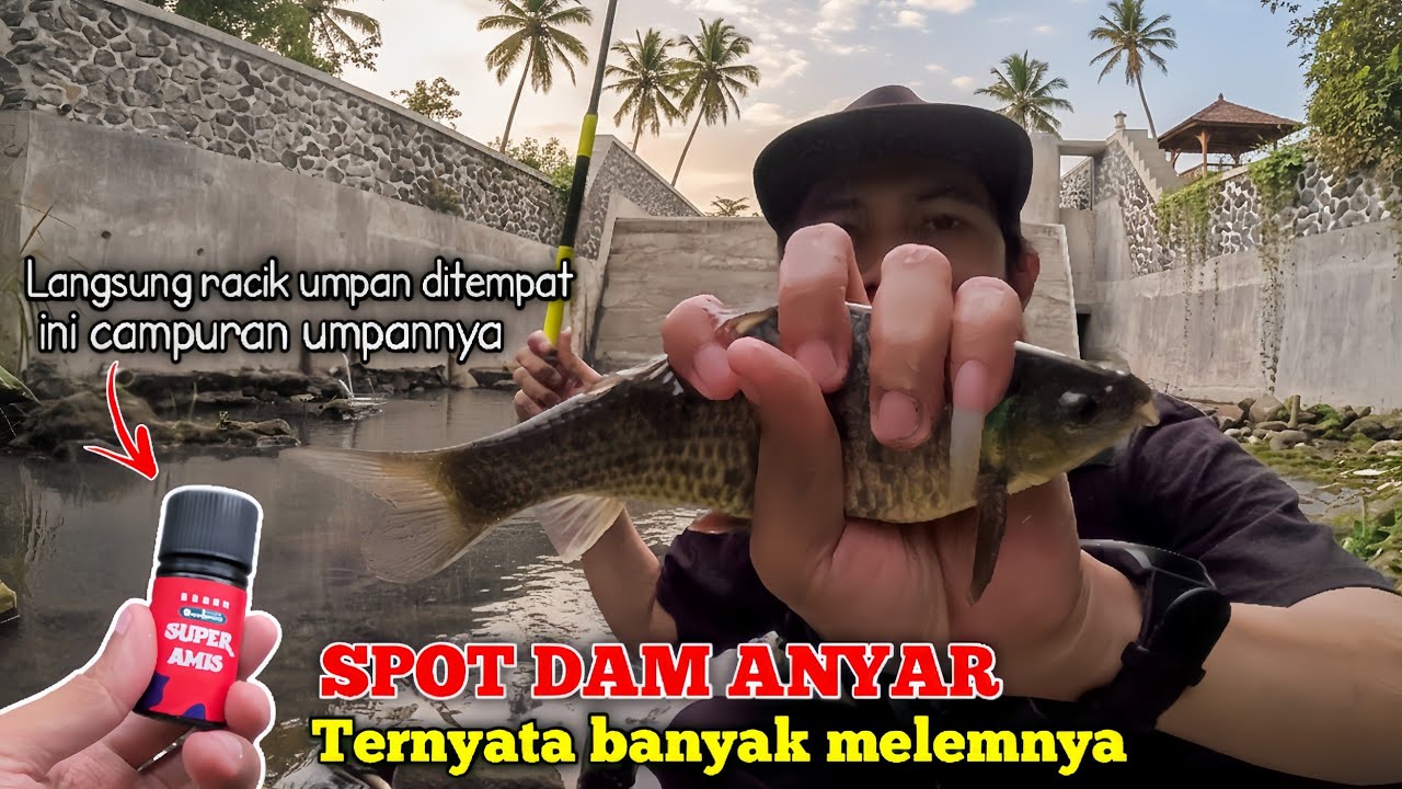 🍃 PERDANA NYOBA SPOT DAM ANYAR KALI DENGGUNG 💥 TERNYATA BANYAK IKAN MELEM DISINI ‼️