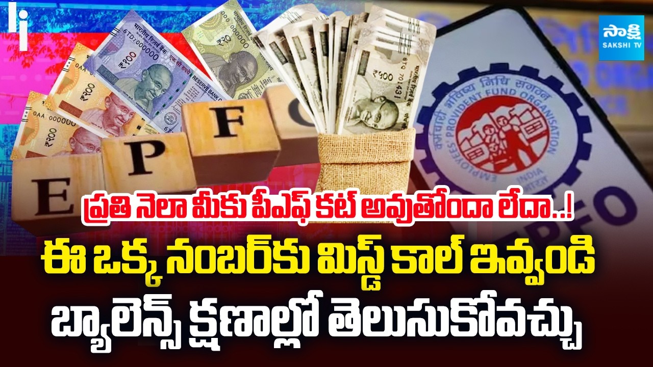 PF Balance Check in Seconds! Just Give a Missed Call | Check Balance Instantly@SakshiTVBusiness1