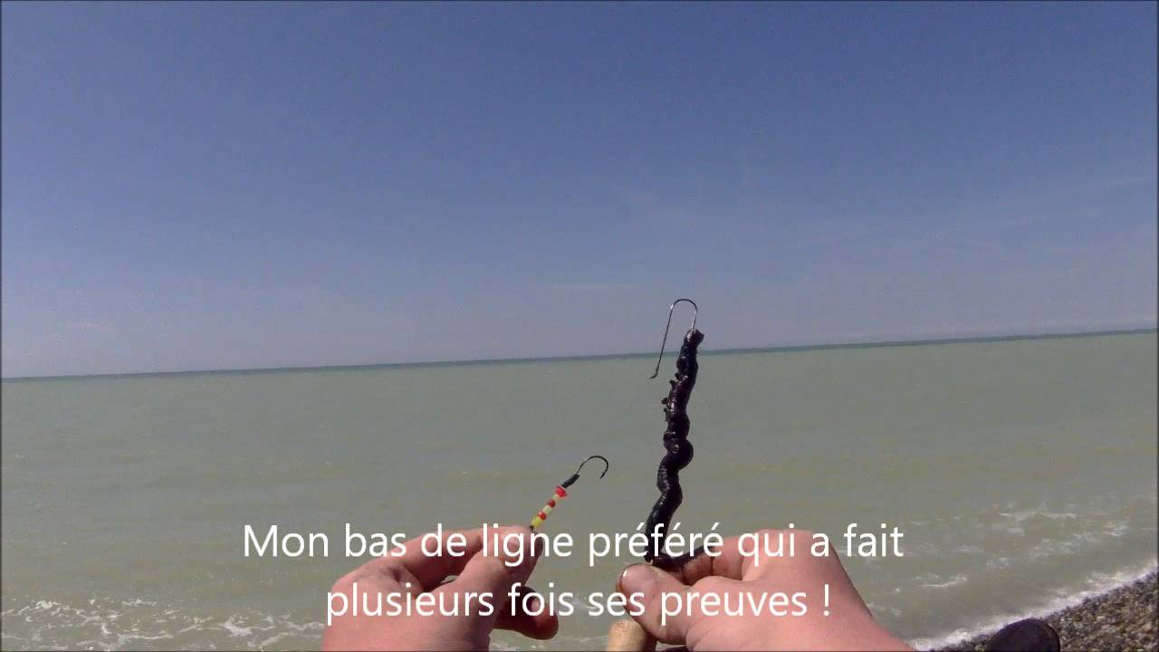 Surfcasting France Côte Picarde 6 Juillet 2016 Cayeux sur Mer