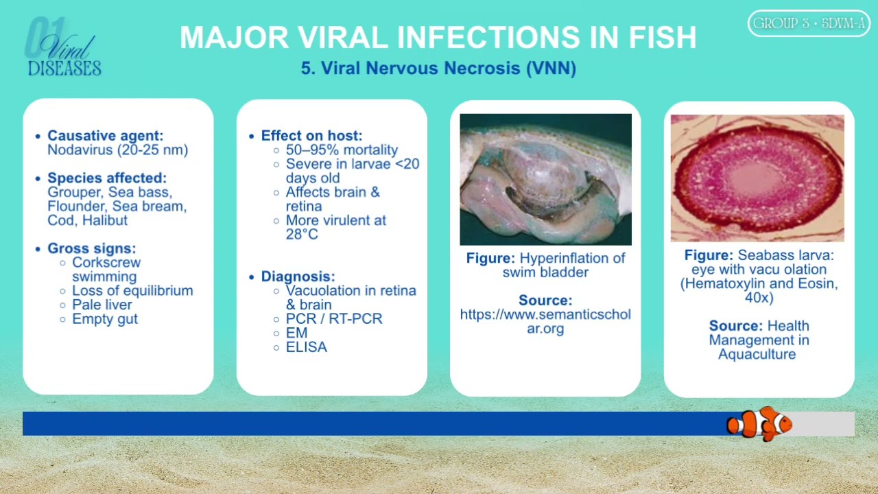 AQUA | Viral Diseases  | (3A, 2026)
