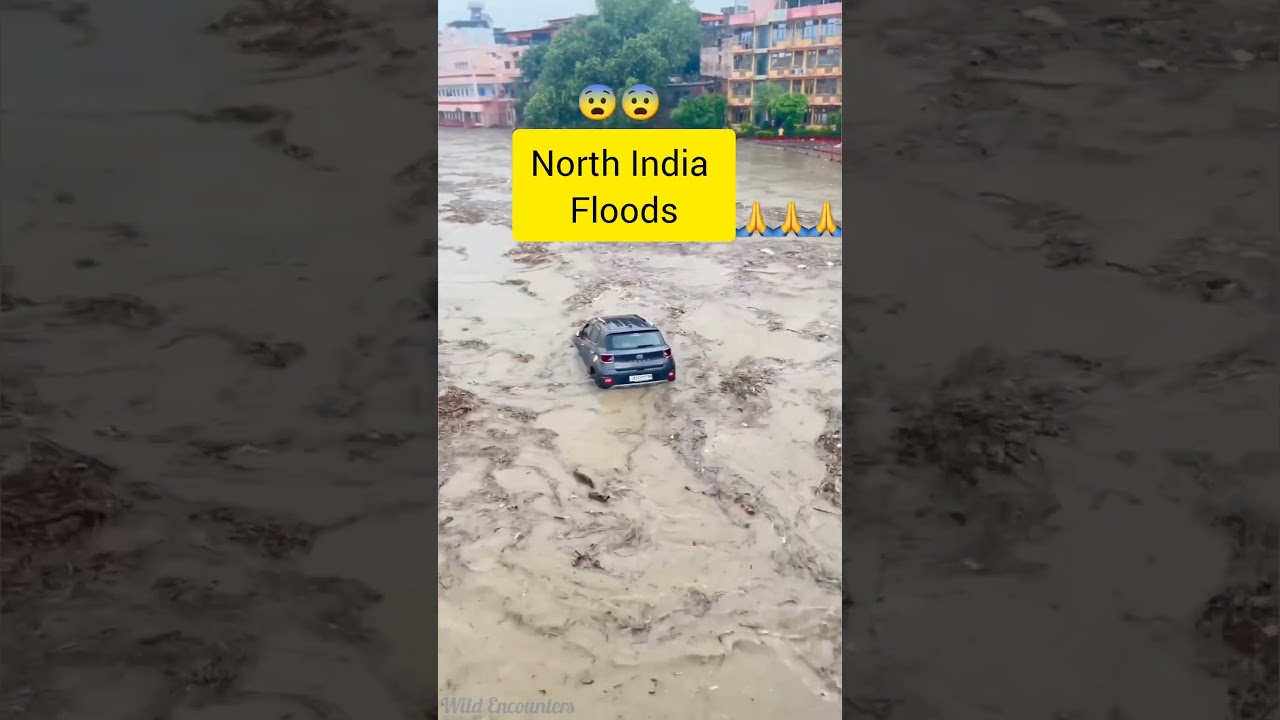 North India Floods #floods #india #northindiaflood