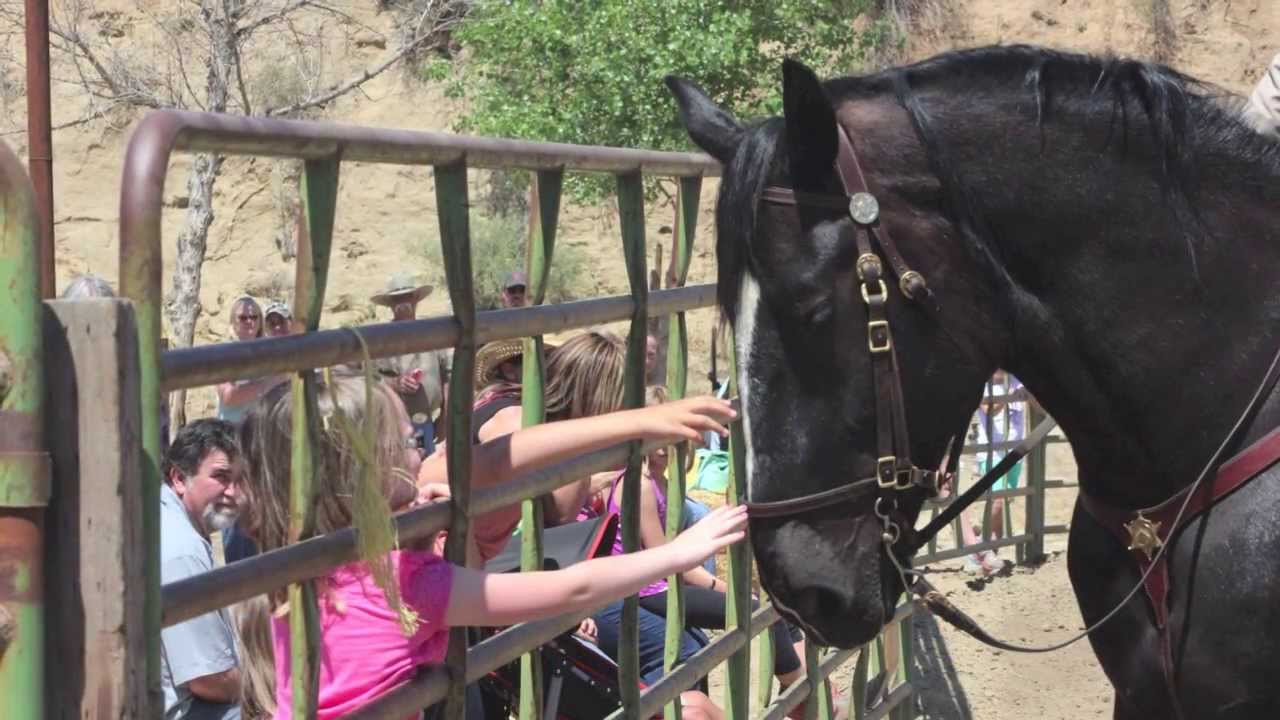 RCAHA Presents Horses Head to Hoof