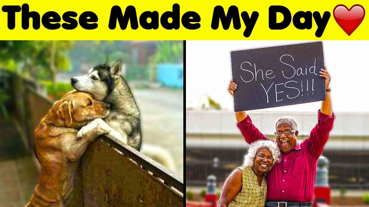 Wholesome Photos That Will Make Your Day..💕