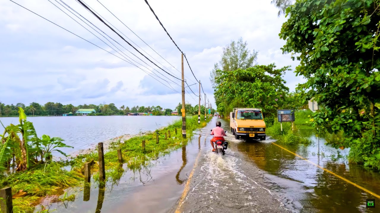 Monsoon Ride Kerala, India 2025 🔥 Alappuzha - Changanassery Rd 🔥 Kuttanad Flooded Area 🔥 4K 60 FPS