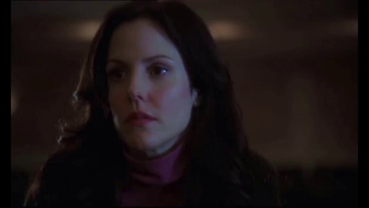 amy gardner x josh lyman - drivers license (the west wing)