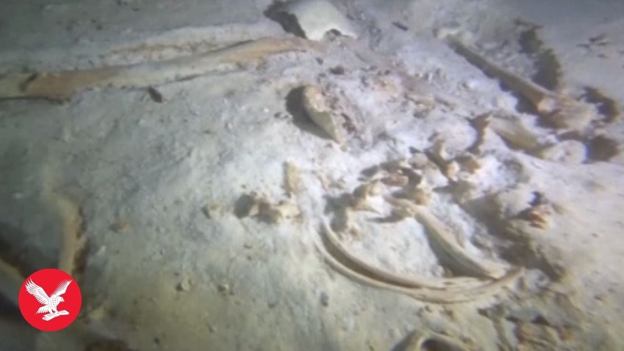 8,000-year-old human skeleton found in flooded Mexican cave