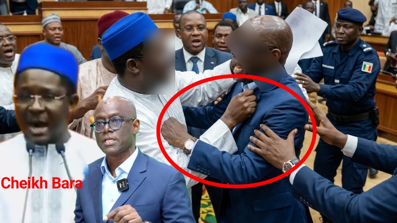 Ça Chauffe Entre Cheikh Bara Ndiaye et Thierno Alassane Sall 😂 Li nékh na walla nékhoul 