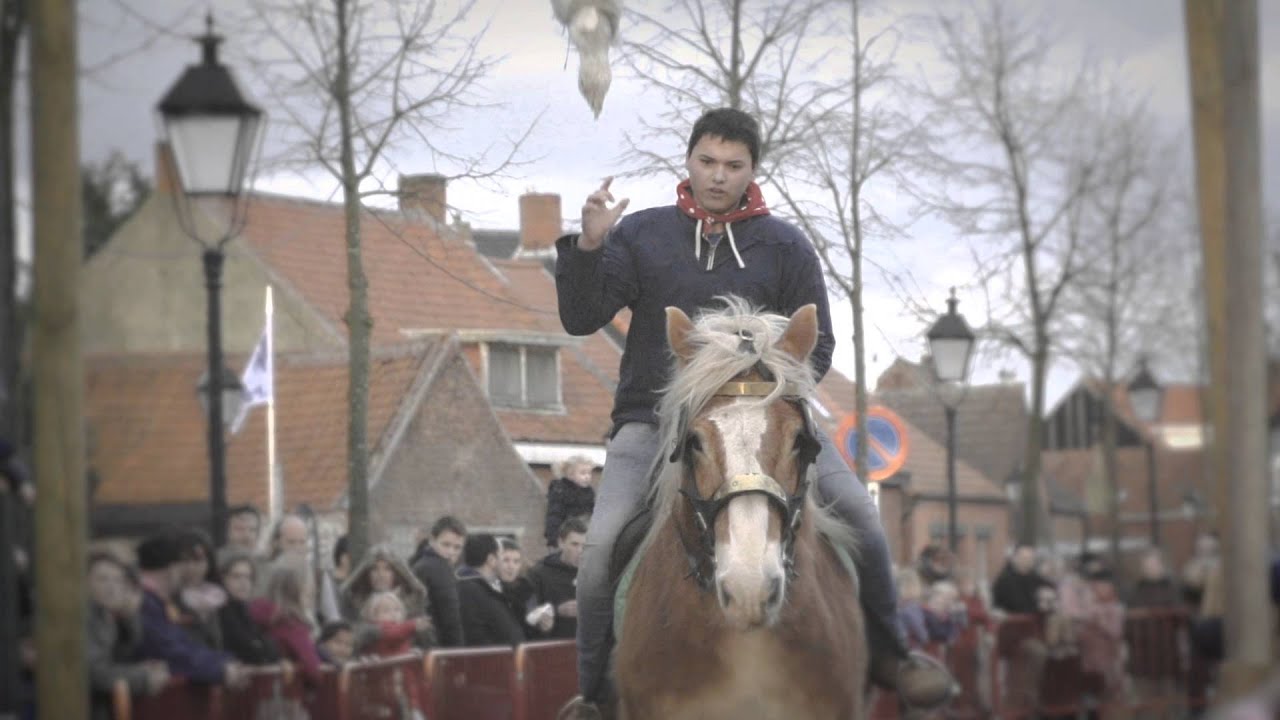 Berendrecht Ganzenrijden 2016
