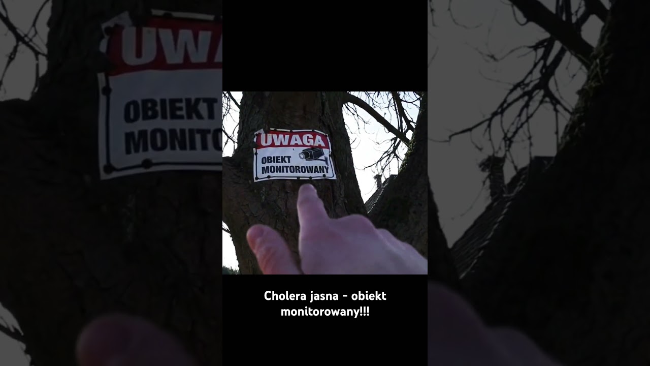 Cieksyn to śmieszy zawsze #kolej #train #pkp #pociąg #horror #dikunow