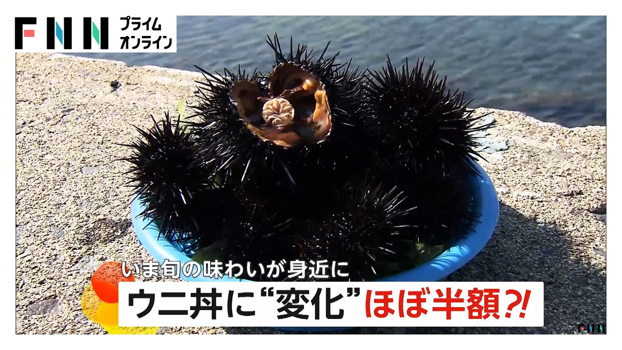 今年は&ldquo;ほぼ半額&rdquo;!?ウニ丼に変化　天候安定で豊洲市場のウニも「コスパいい」と満足の声