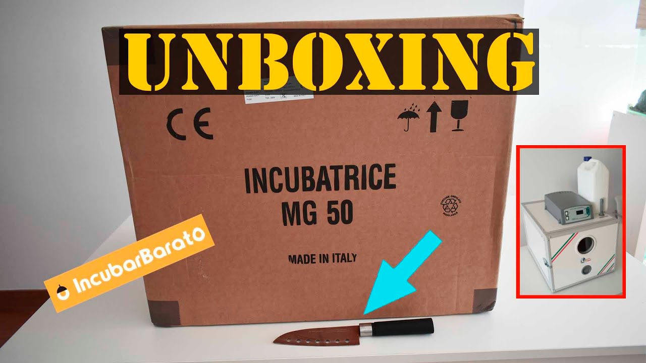 Unboxing Incubadora 📦