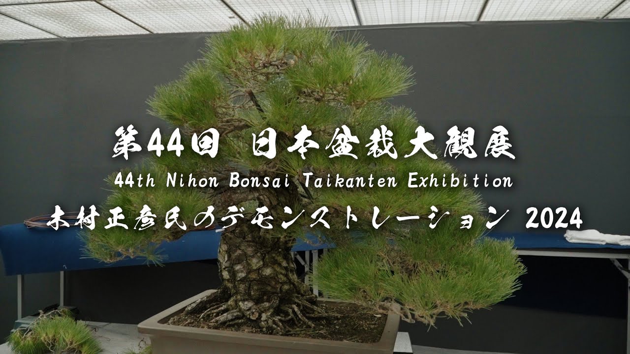 第44回 日本盆栽大観展  木村正彦氏のデモンストレーション 2024