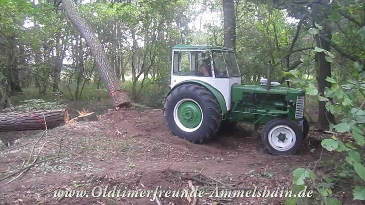 Baum fällt erst beim 3. Versuch (speciale am Ende)