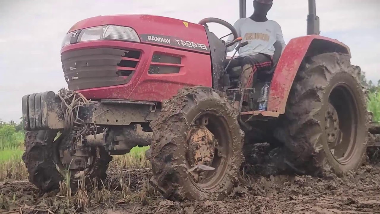 Rice Field Tractor Operation by Skilled Farmer #RuralAgriculture #TraditionalFarming