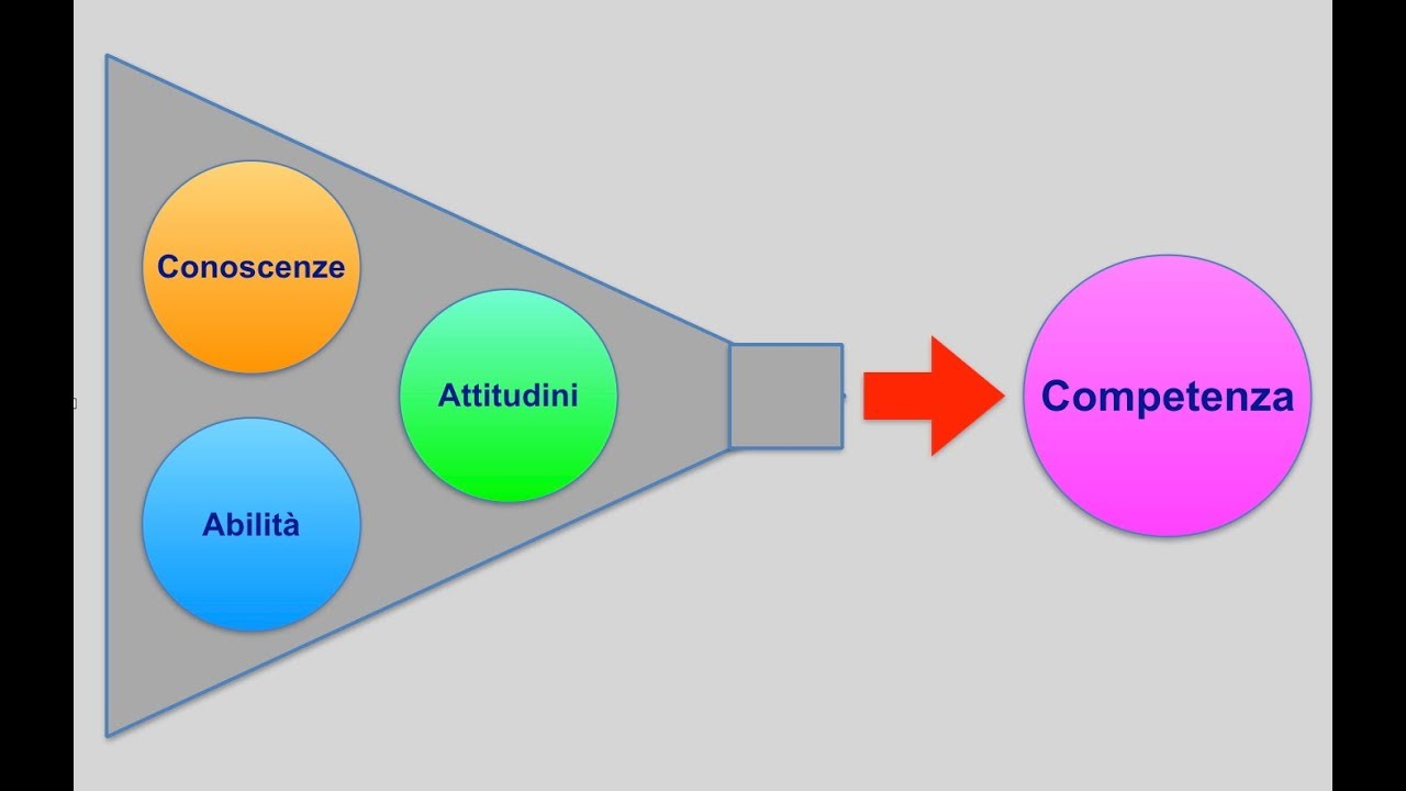 Didattica delle competenze