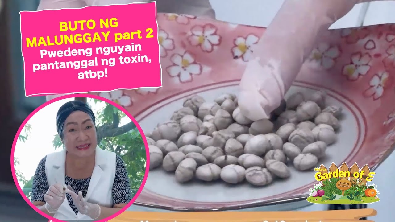Garden of E: Buto ng Malunggay, Nguyain pang-Detox!