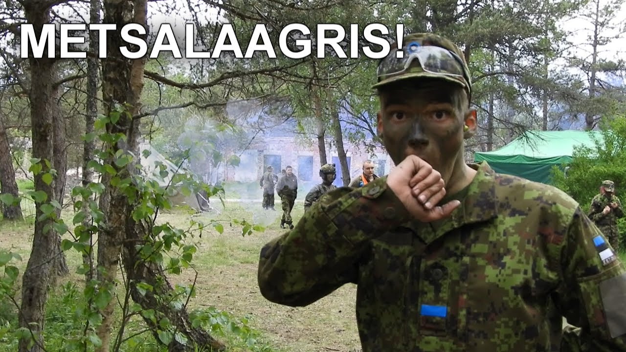 PIINLEMINE METSALAAGRIS!