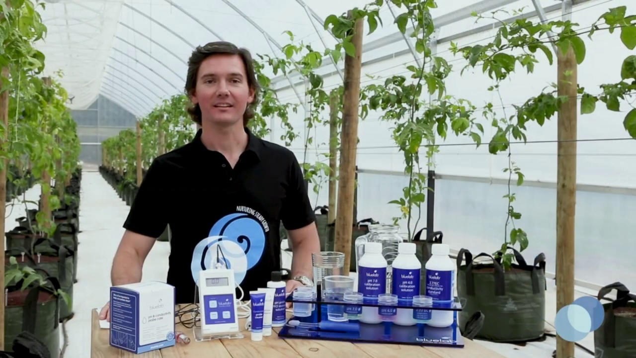 Очистка и калибровка Bluelab