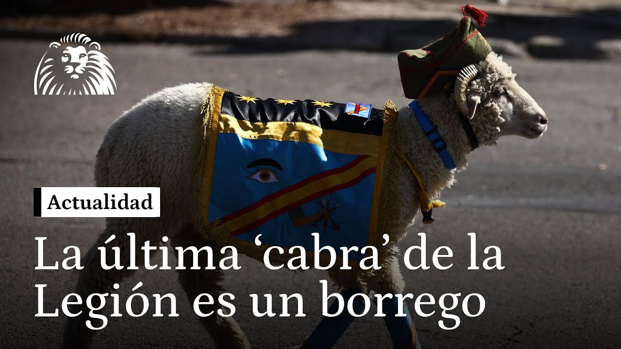 La última cabra de la Legión es el borrego 'Titán'
