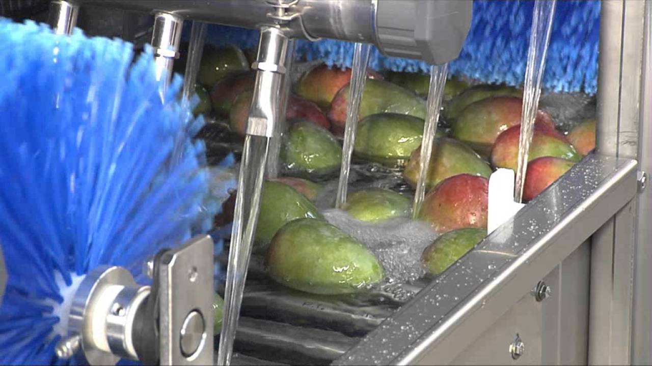 SWC | Fruits washer