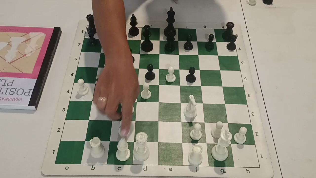 Day 17 Training - Grandmaster Preparation Positional Play