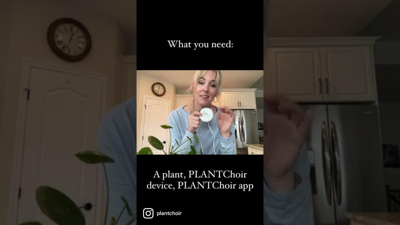 How to make music from your plants