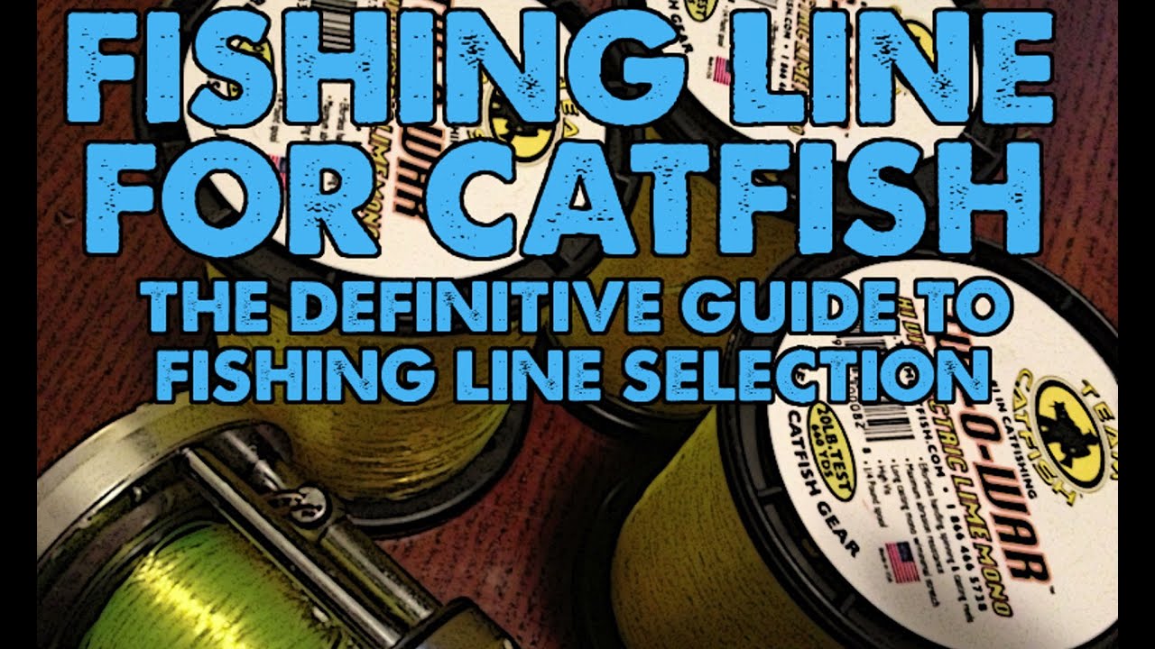 Catfish Fishing Line: Braid Vs' Mono, Size and Hi Vis Advantage