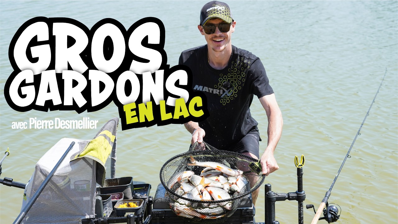 Comment pêcher les GROS gardons au feeder en lac avec Pierre Desmellier