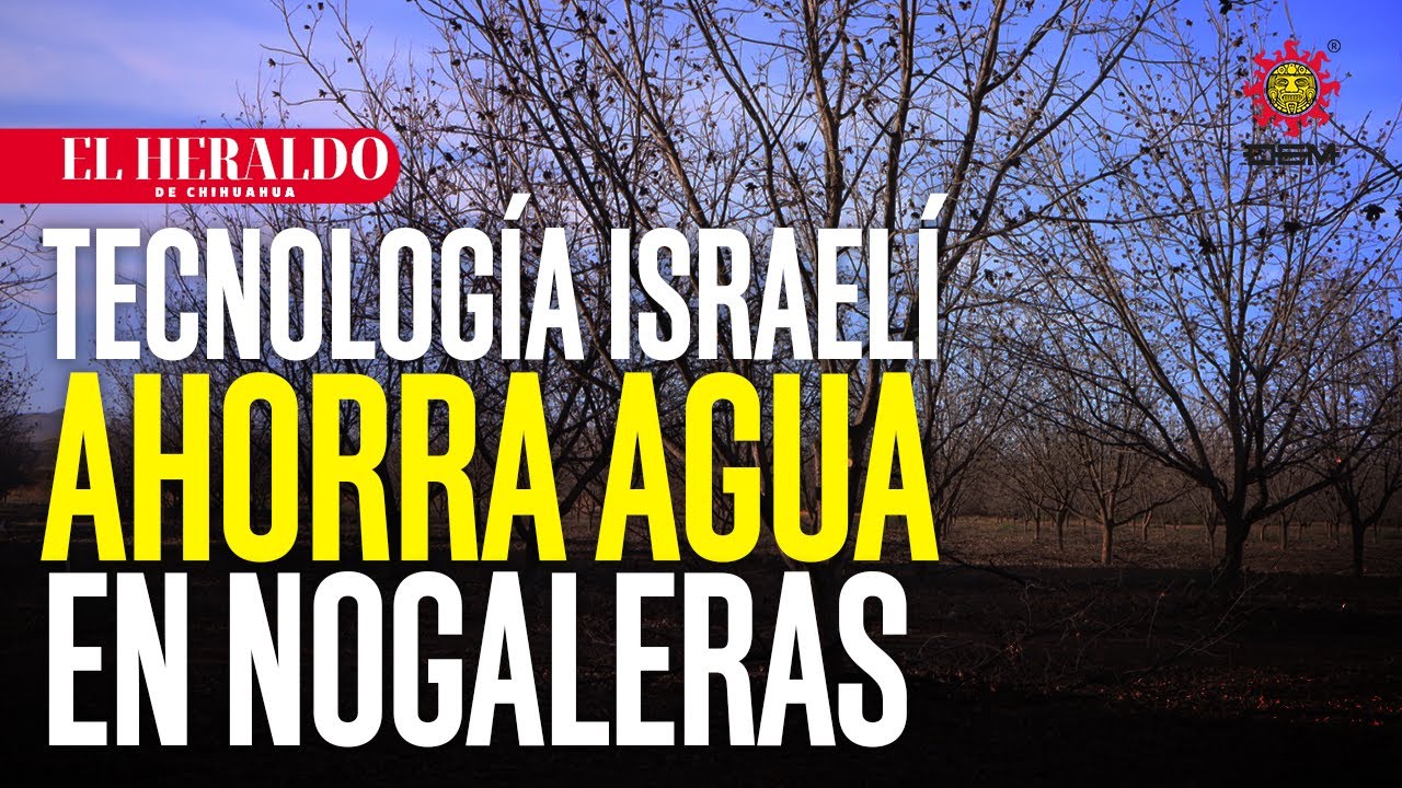 Así combate Chihuahua la sequía: tecnología israelí reduce el uso de agua en el campo