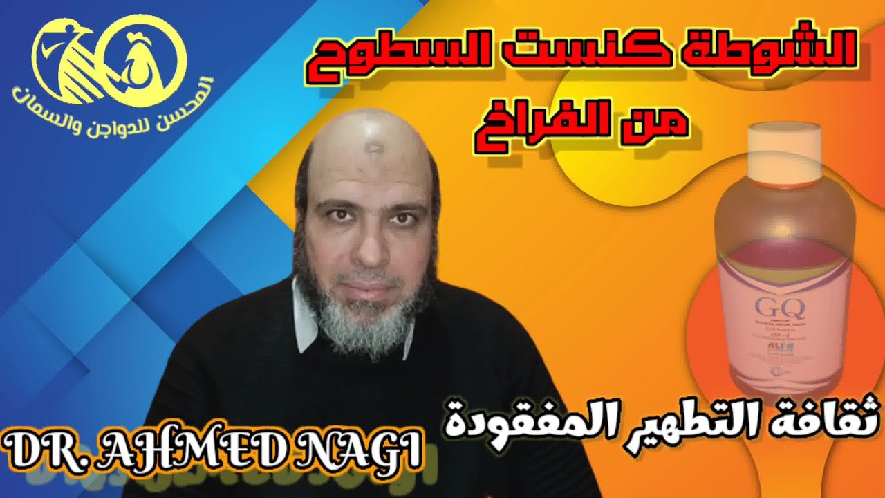 الشوطة أخدت الفراخ وكنست السطح😱إيه الحل يا دكتور❗ثقافة التطهير المفقودة عند مربيات المنزل والمبتدئين