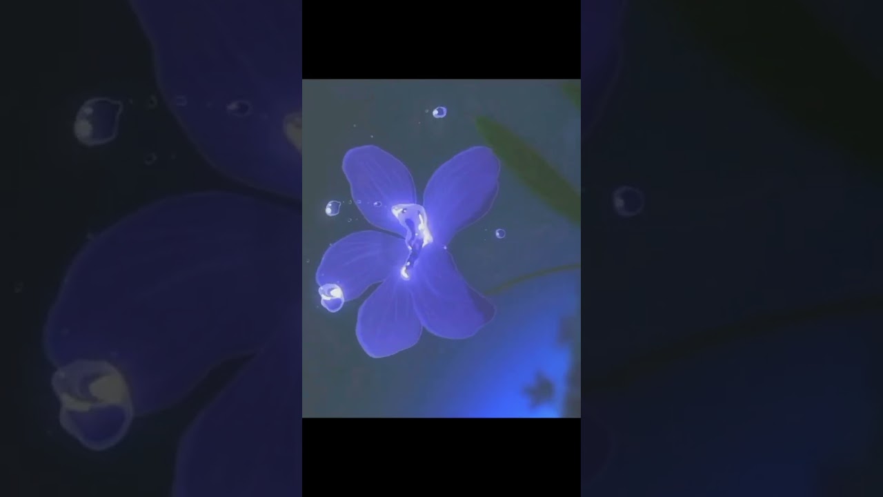 violet evergarden amv #japanimation #anime #viral #trending #amv #violetedit