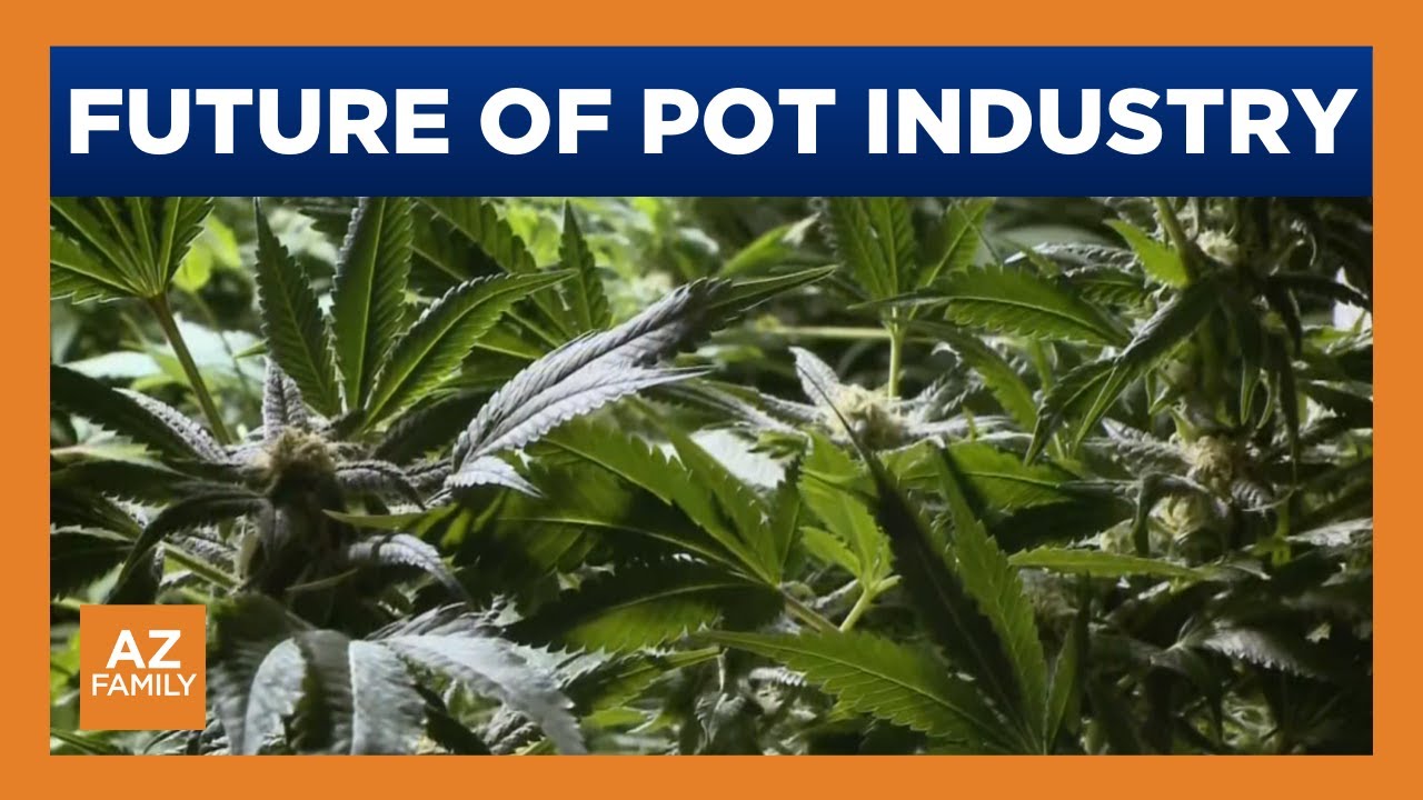 Arizona dispensary reacts to possible reclassification of marijuana