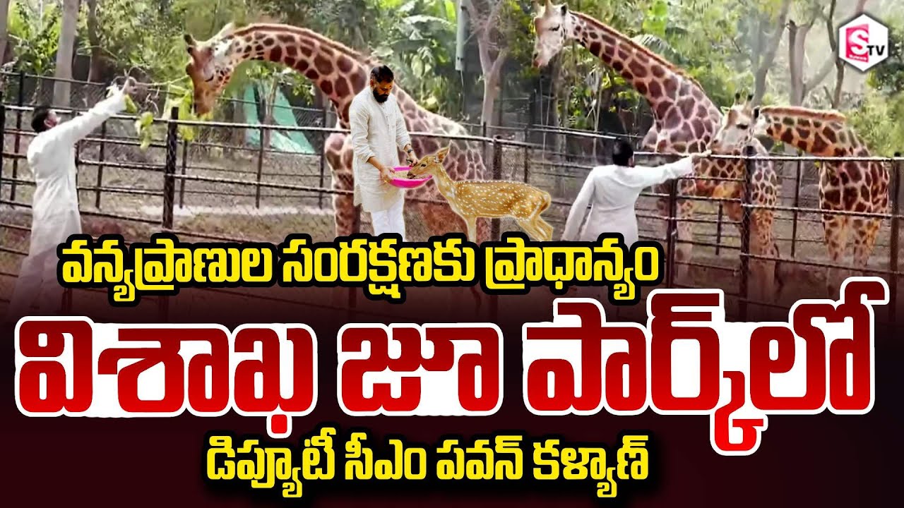 విశాఖ జూ పార్క్ లో డిప్యూటీ సీఎం | Deputy CM Pawan Kalyan At Visakhapatnam Zoo Park | Janasena