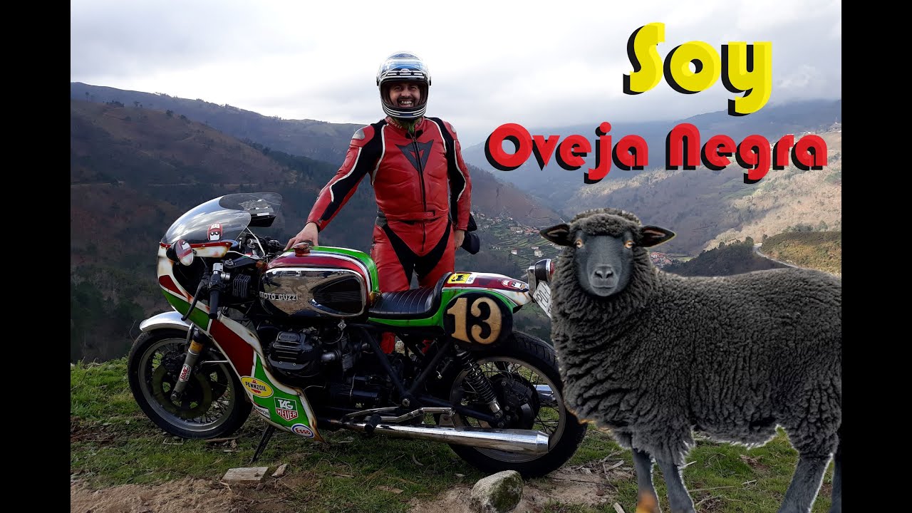 🐑Soy Oveja Negra!