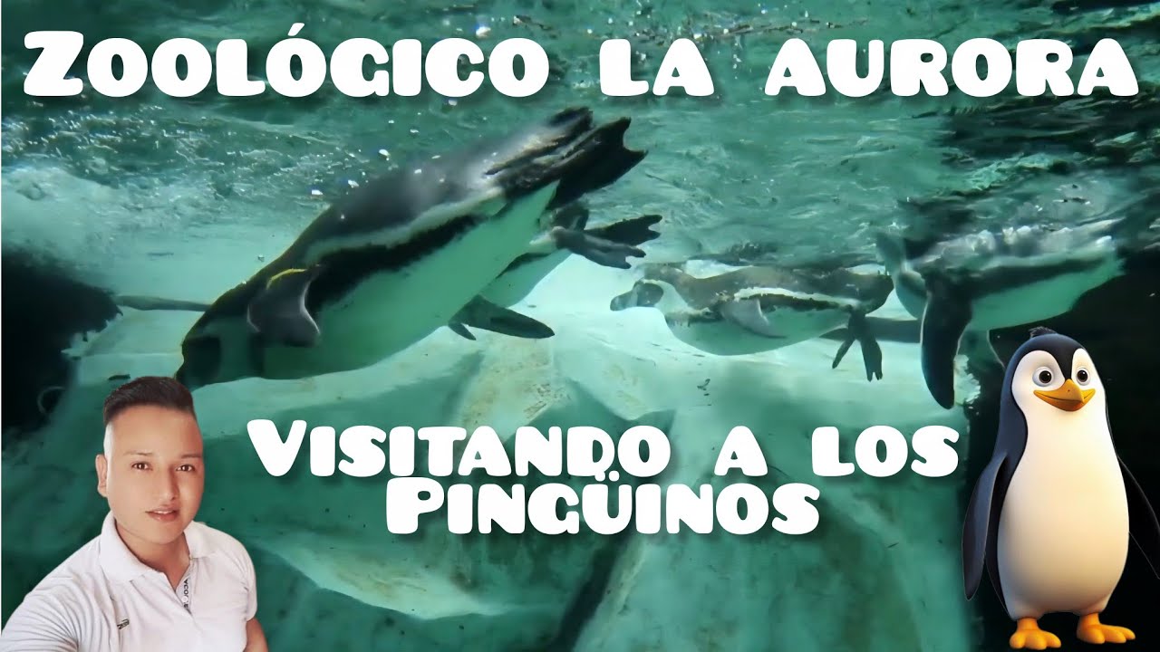 Zoológico la aurora en Guatemala segunda parte (2) disfrutando en familia