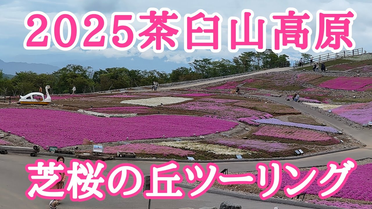 2025茶臼山高原芝桜ツーリング🏍