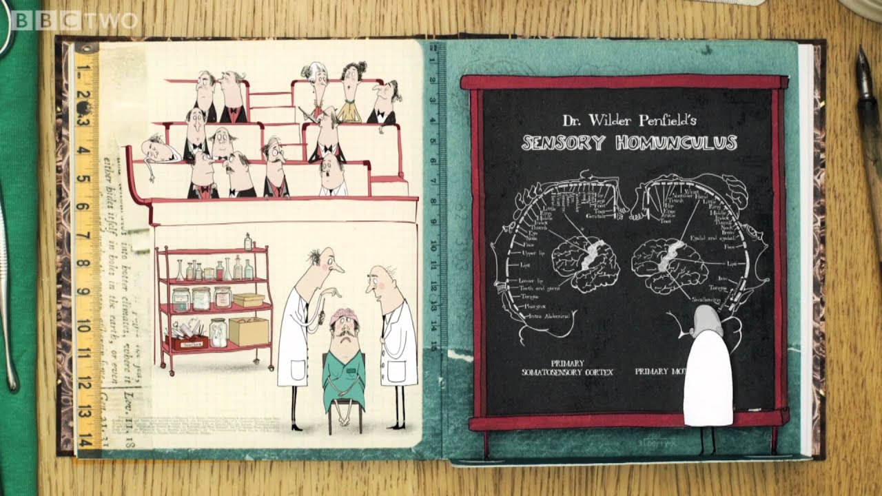 The Story of the Brain - Dara O Briain's Science Club - Episode 5 - BBC