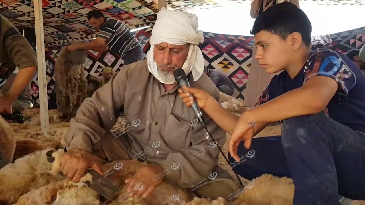 اجدابيا.. (موسم الجلامة.. عرس الضان)  LCNA