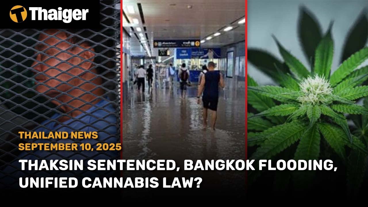 Thailand News: Thaksin Sentenced, Bangkok Flooding, Unified Cannabis law?