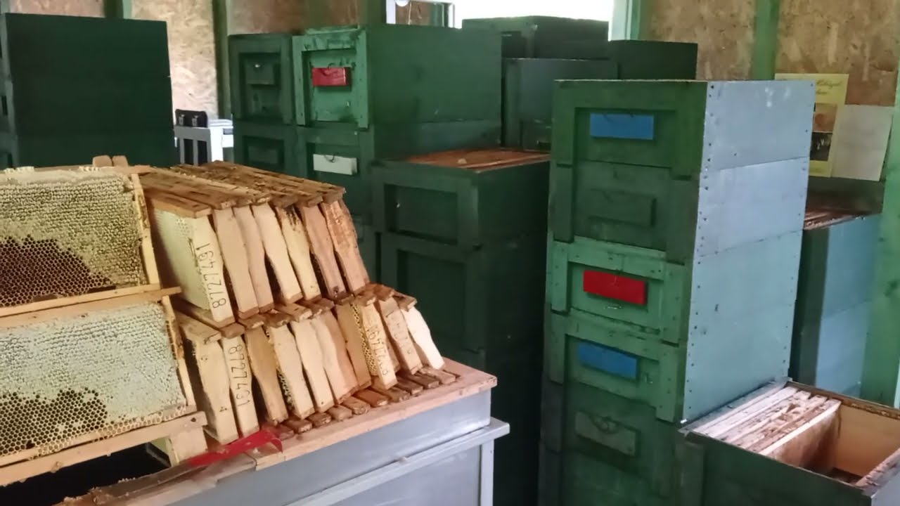 Pörgetés. Akácméz pergetés eszközei és szakaszai.