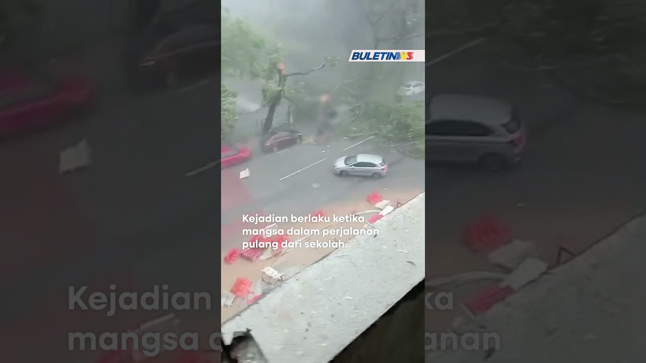 RIBUT | Pelajar cedera tulang belakang, patah kaki dihempap pokok