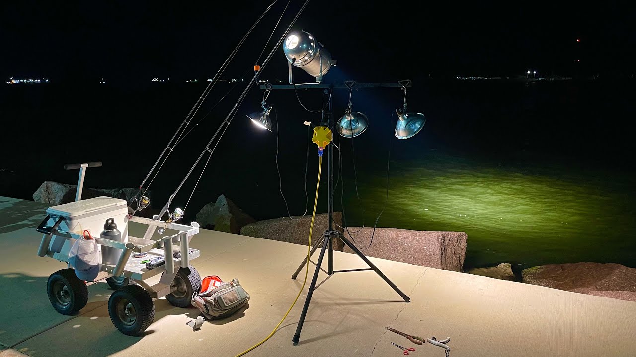 Fishing Seawolf Park: Catching big fish and they didn't want live shrimp (S7 E87)