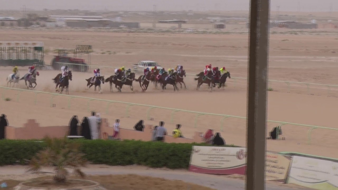 ميدان الفروسية بالاحساء لعام1440ه حفل (24)شوط الثامن المركز الأول (الابيض)