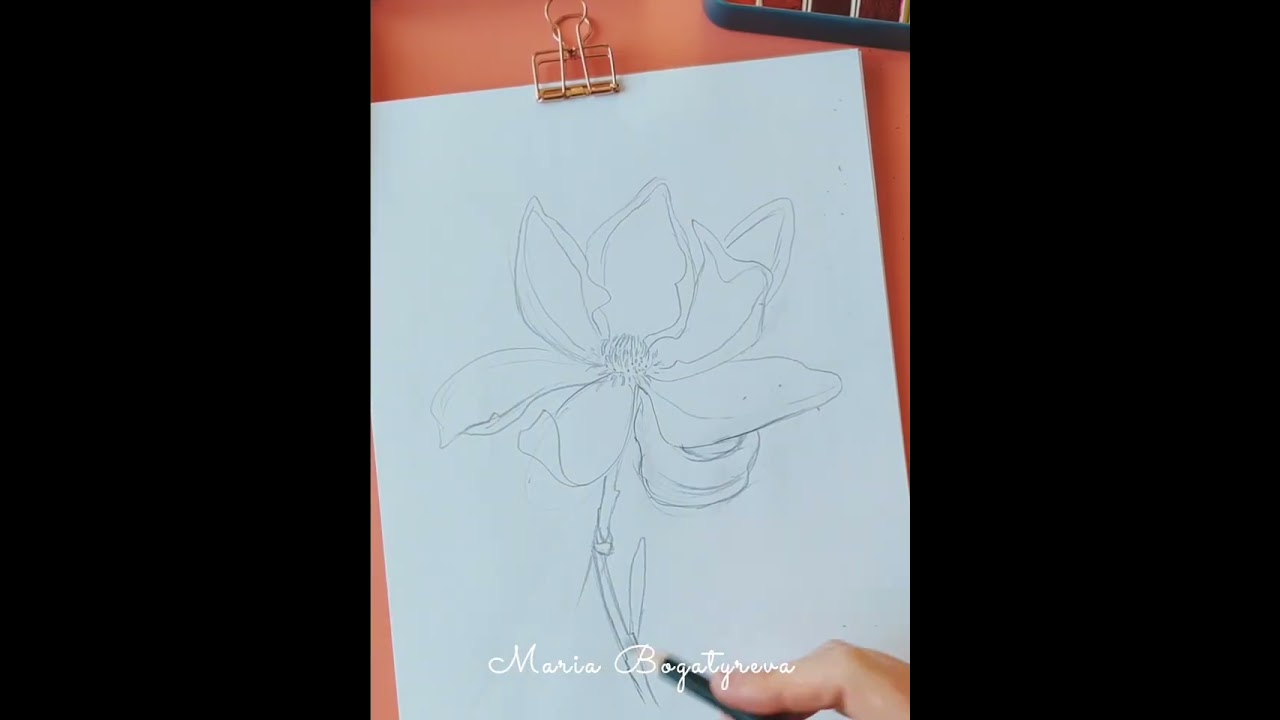 1. Magnolia aquarelle ( эскиз )