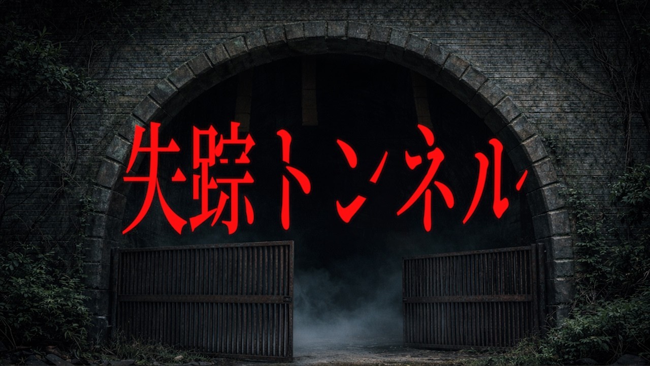 延々と「心霊トンネルを歩き続けながら何かに追われるホラーゲーム。」【失踪トンネル】