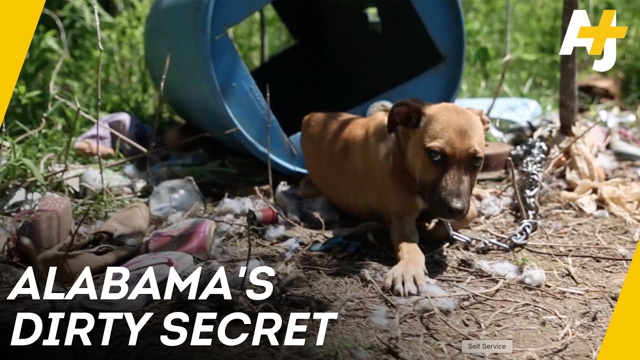 Racism in America’s Sanitation System | AJ+