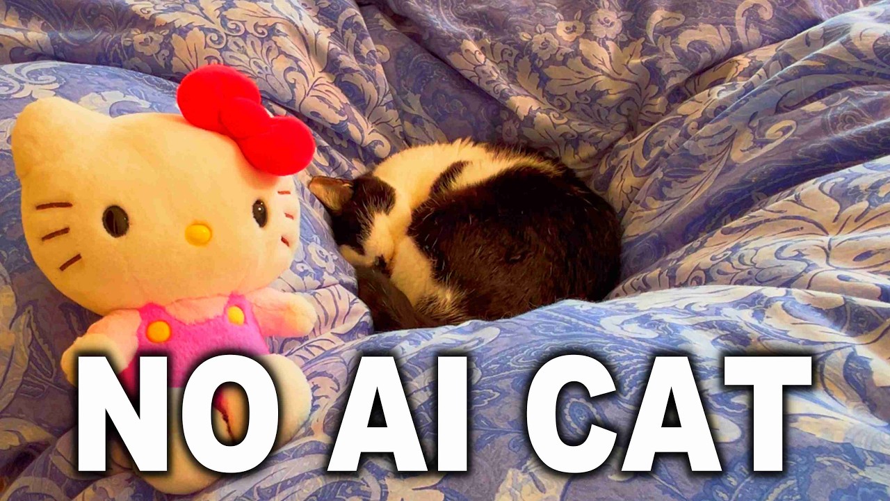 No AI CAT 🐈️  Sunset Room & Sleeping Cat / Cozy Lo-fi to Study & Focus