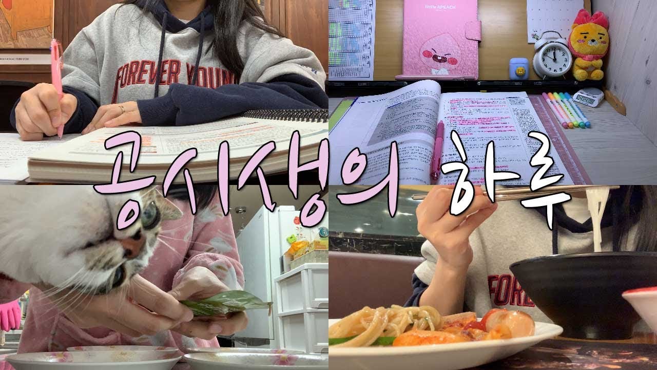 ENG) 공시생 브이로그#6 | STUDY VLOG | 공시생의 하루 (공부,초심스터디카페,빕스,고양이) | ANNA