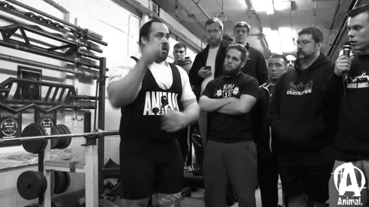 Animal Seminar: Andrey Malanichev, Part 2