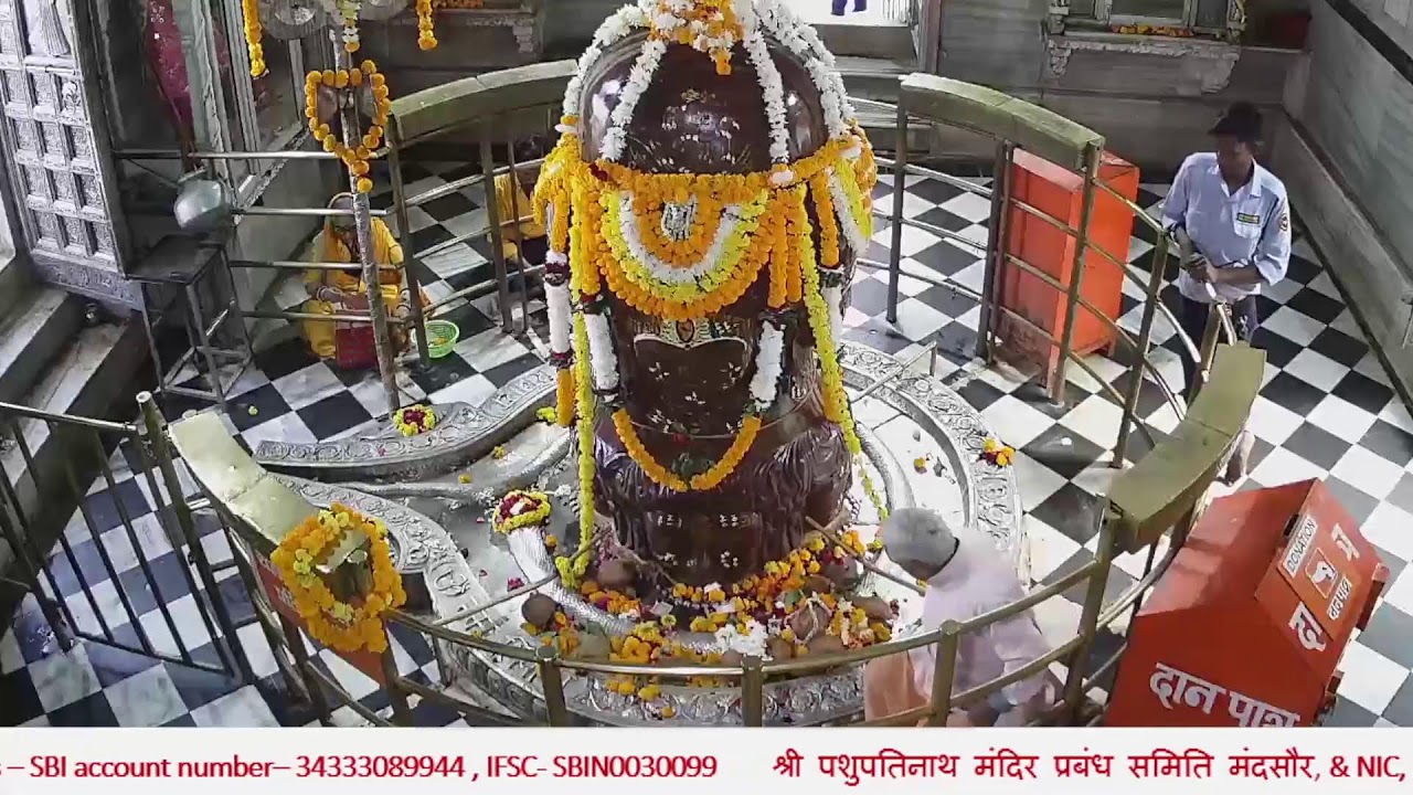 श्री पशुपतिनाथ जी मन्दसौर मंदिर लाइव दर्शन